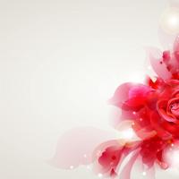 /photo/708942/老婆/timg (1)_1_3_small.jpg